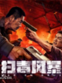 扫毒风暴