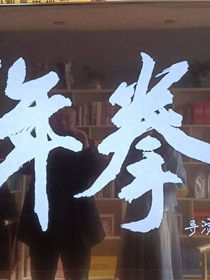 少年拳王